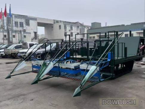 DOWBUSH HarvestPro 3000 — інноваційне рішення для ефективного збирання очерету та іншої біомаси. Джерело: DOWBUSH